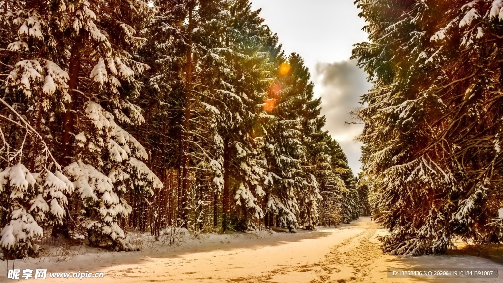 冬天森林小路天空风景