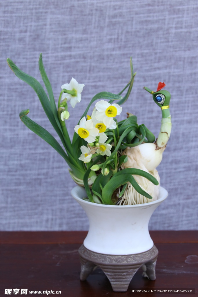 水仙花