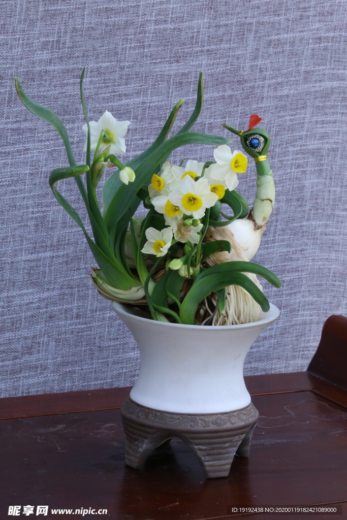 水仙花