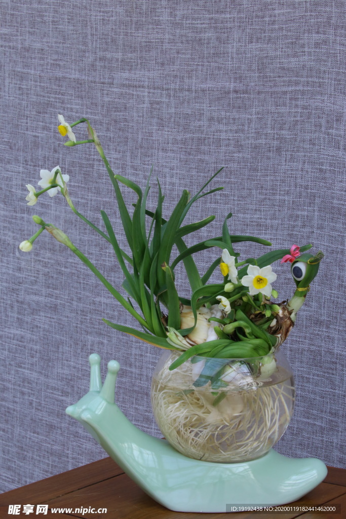 水仙花