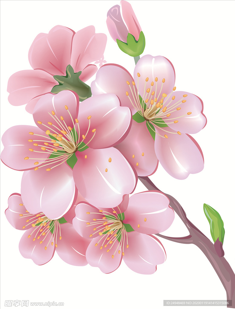桃花花朵矢量图