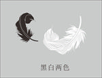 黑白 两片 大 羽毛