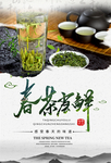 春茶尝鲜