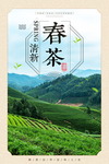 春茶清新海报