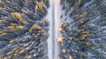 雪天
