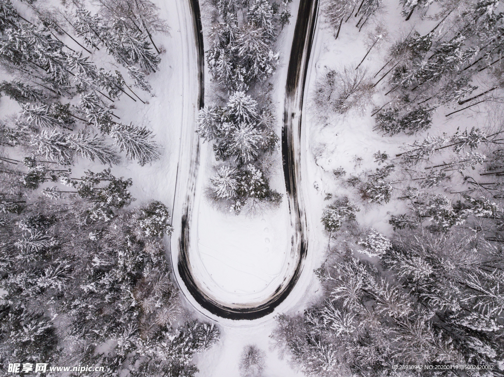 雪景