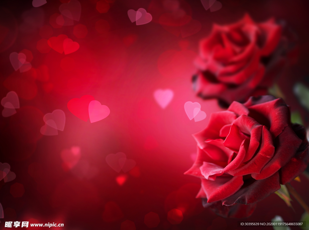 红色背景