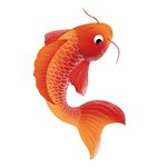 红色鲤鱼