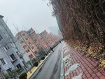 雪后