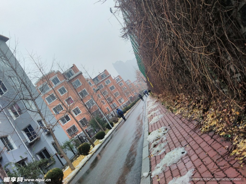 雪后
