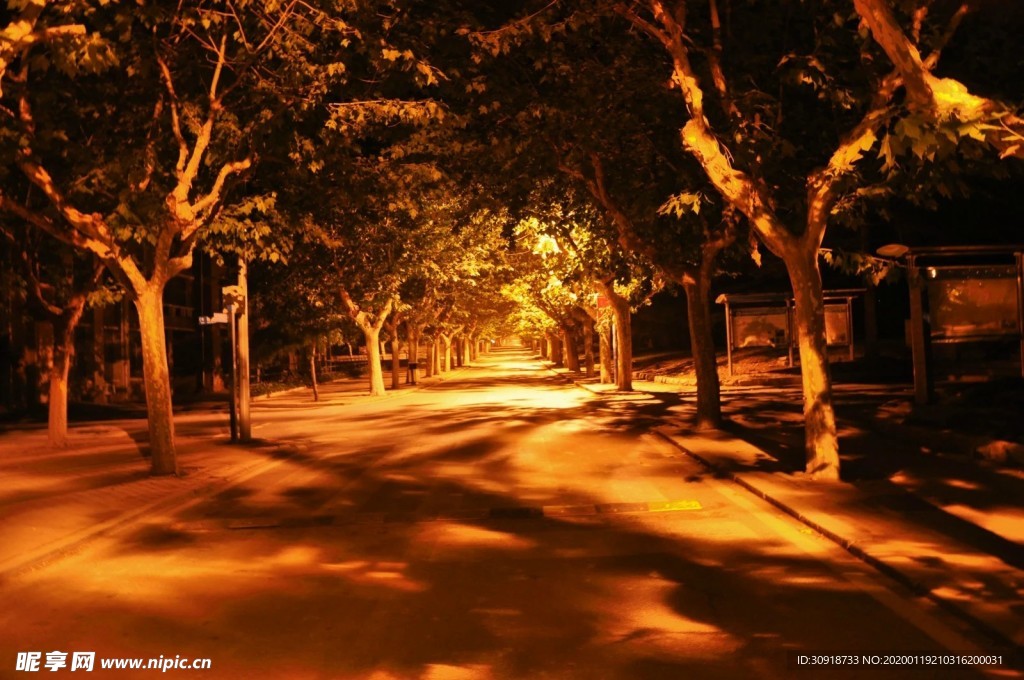 大连理工大学夜景