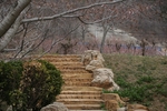 路