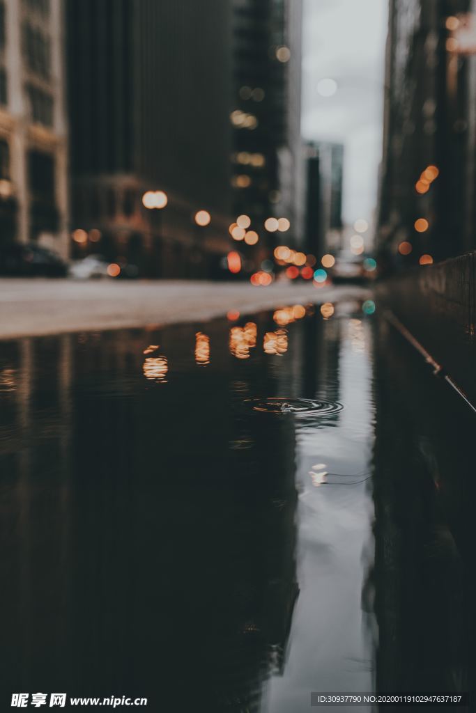 水中倒影
