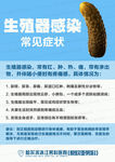 男科常识