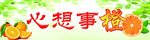 心想事橙
