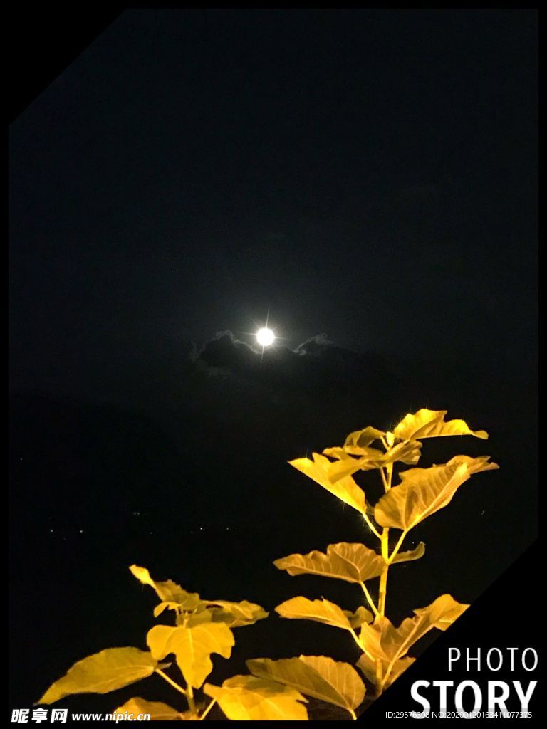 夜色