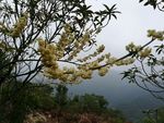 自然景观