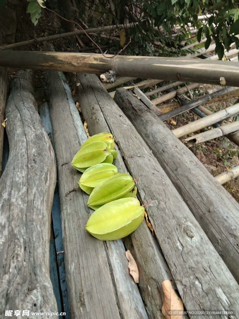 杨桃