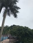 自然景观