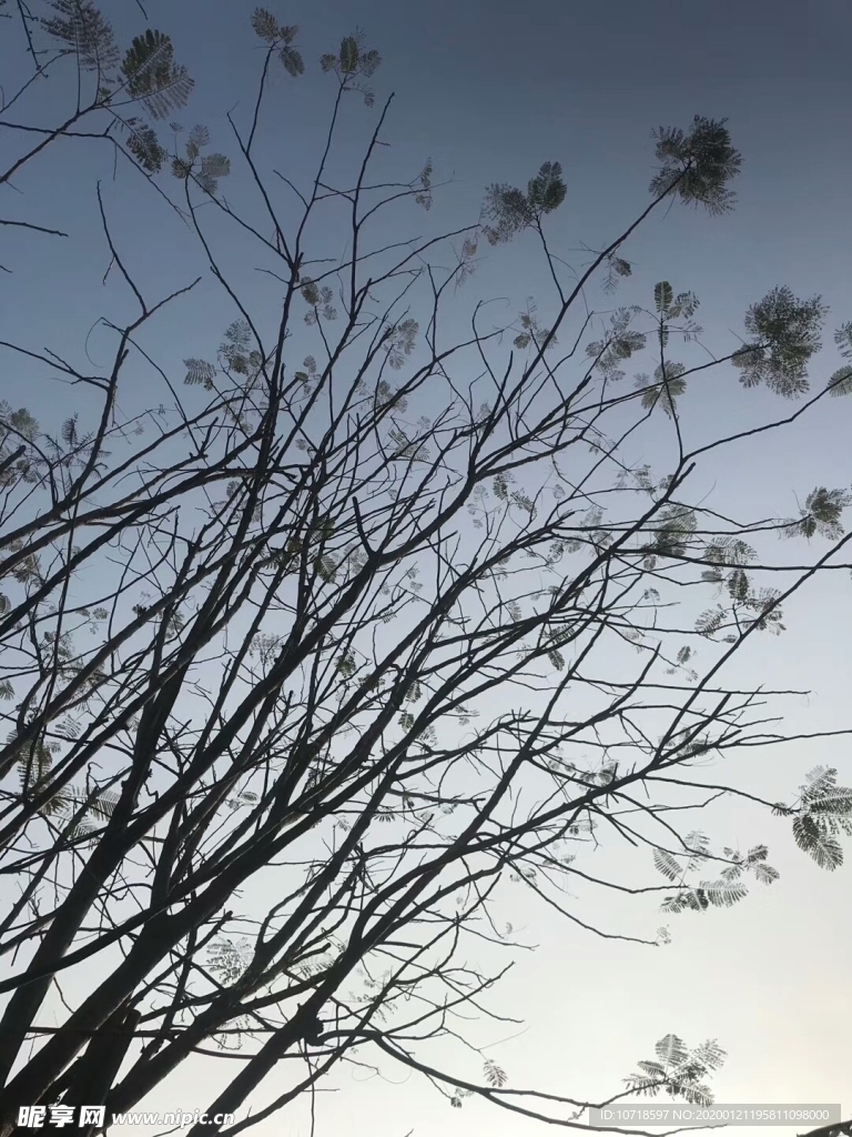 自然景观