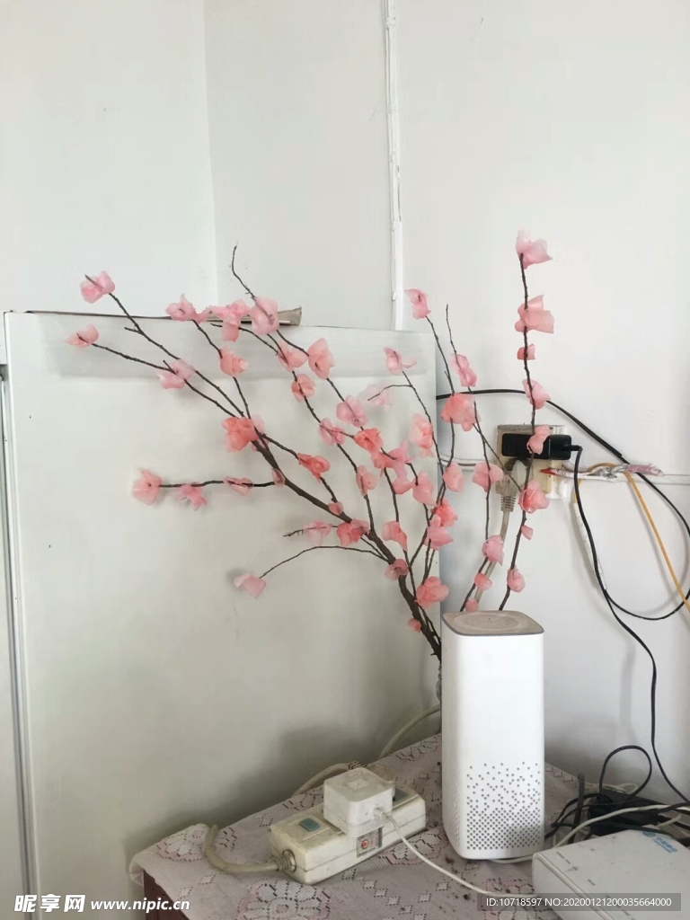 花卉花朵