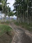 自然景观