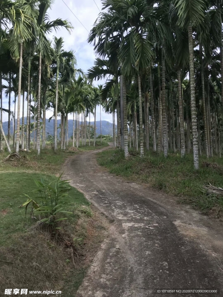 自然景观