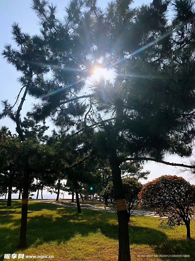自然景观