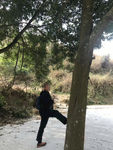 自然景观