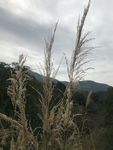 自然景观