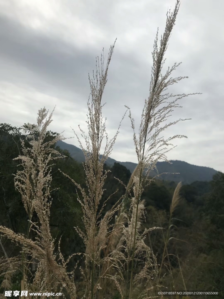 自然景观
