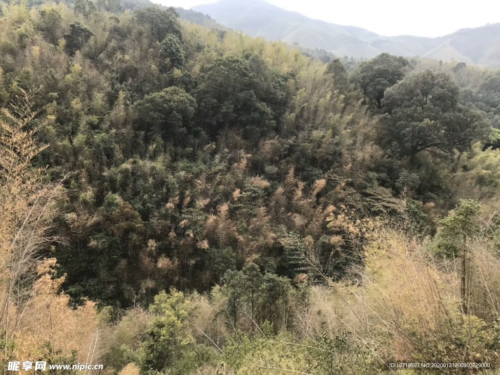 自然景观