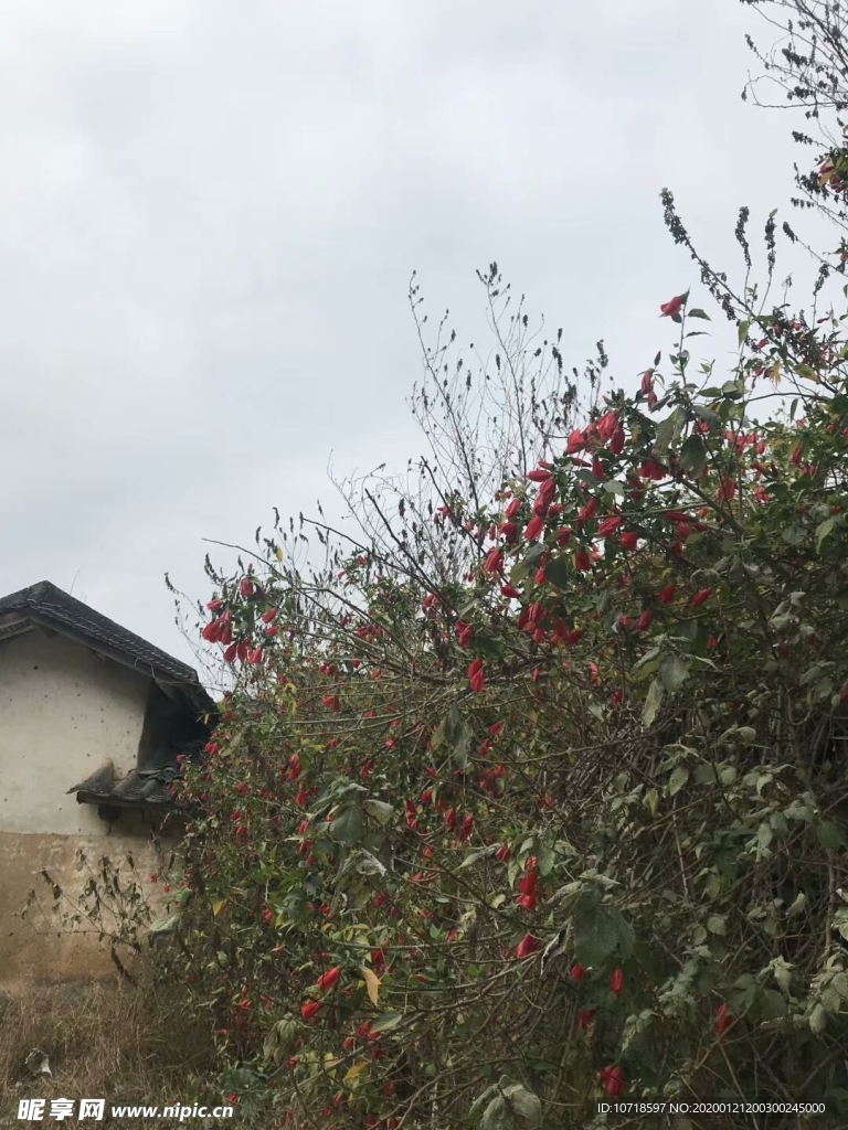 自然景观