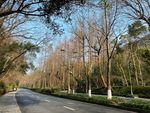 自然景观