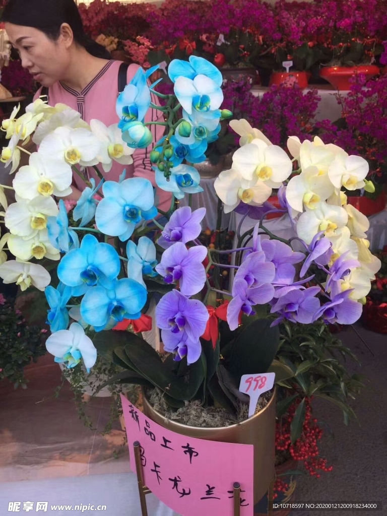 花卉花朵