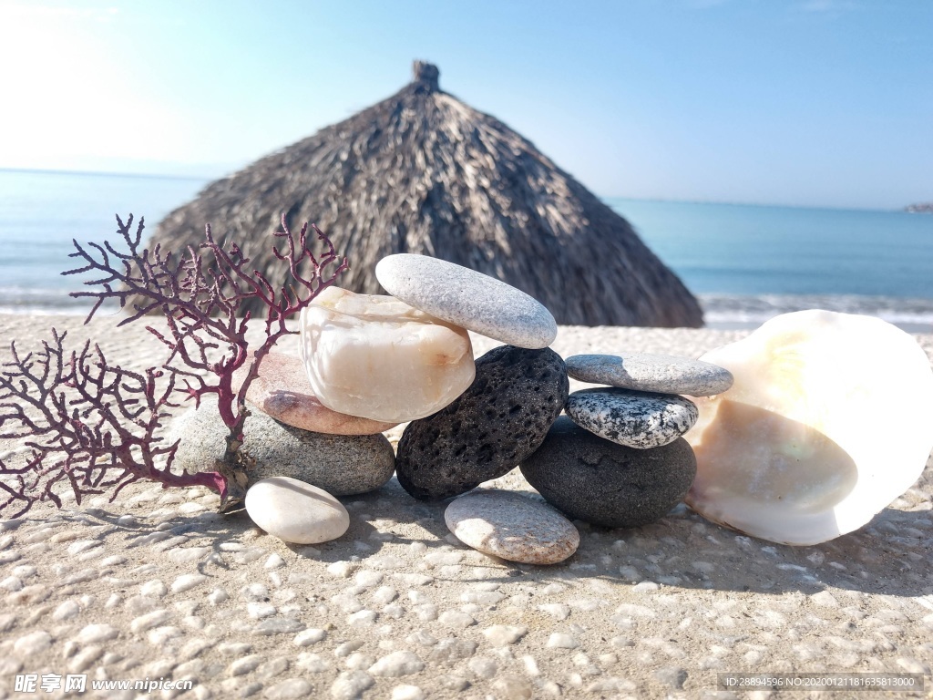 海边海贝