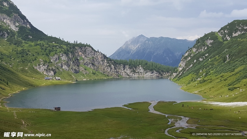 阿尔卑斯山