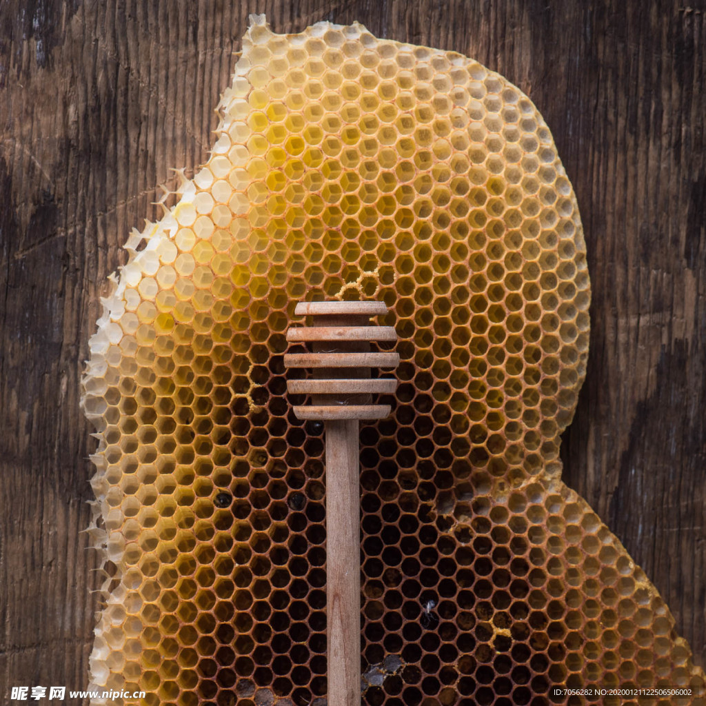 蜂蜡 蜂窝 蜂蜜 搅拌棒
