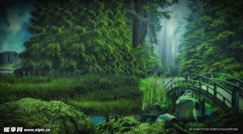 森林