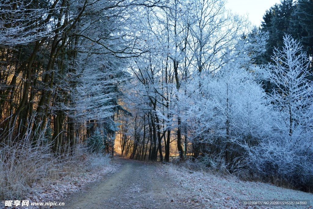雪地