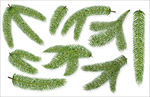 植物背景
