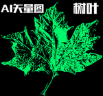树叶 ai矢量图