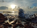 大海