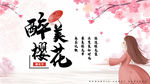 樱花海报