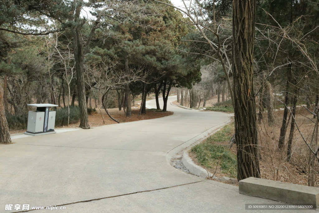 路