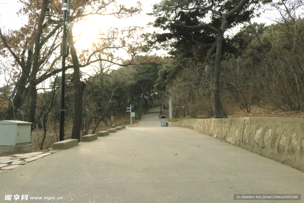 路
