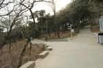 路