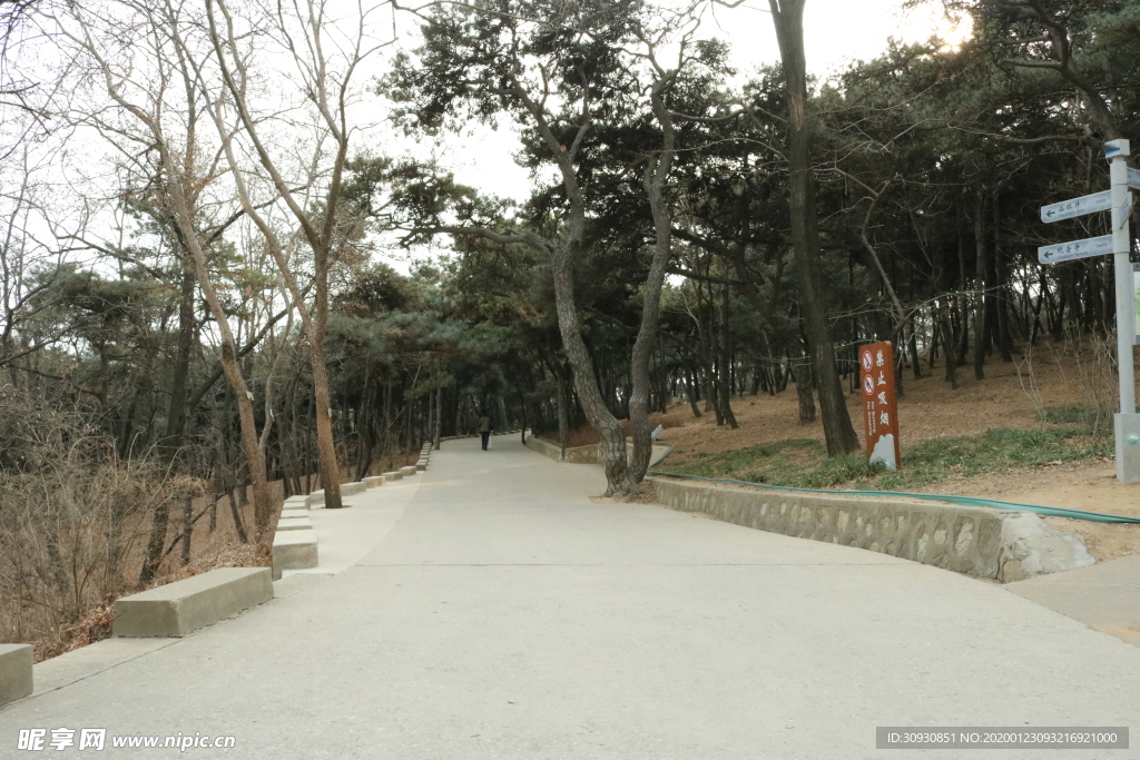 路