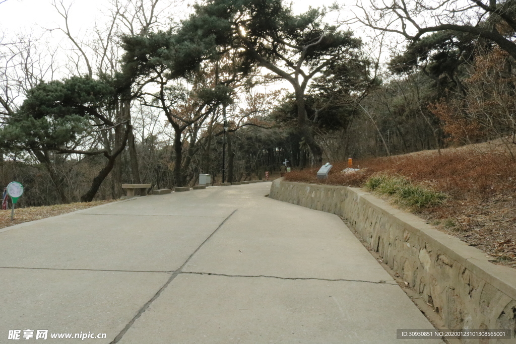 路