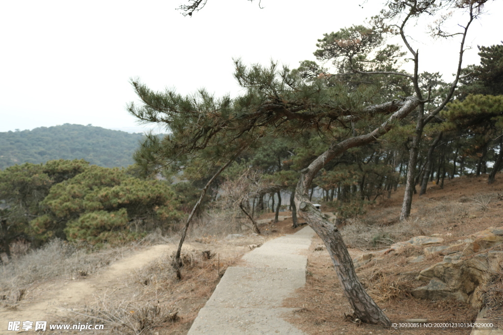 路